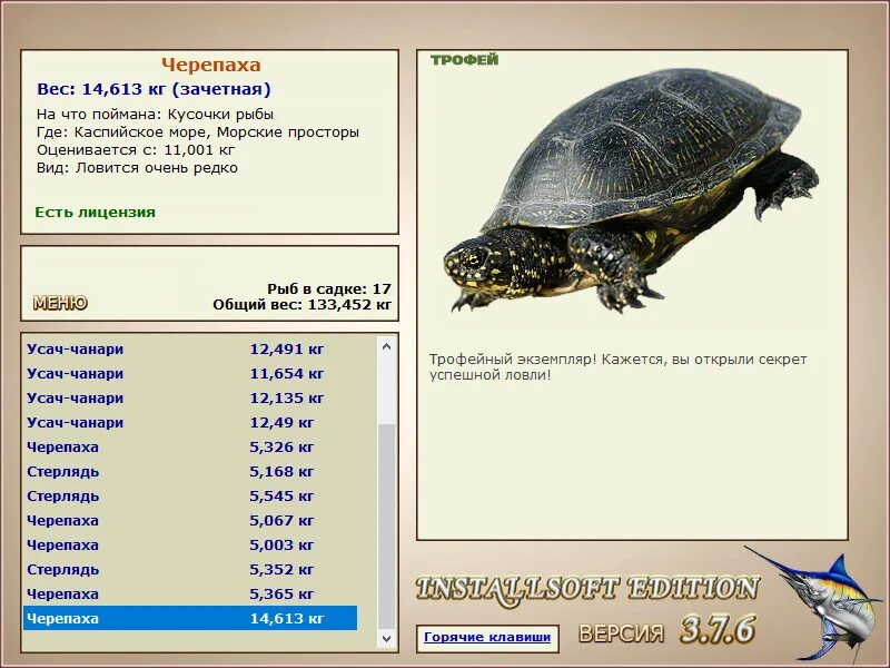 средний вес черепахи. средний вес черепахи. средний вес черепахи. систематика каймановой черепахи. систематика черепах.