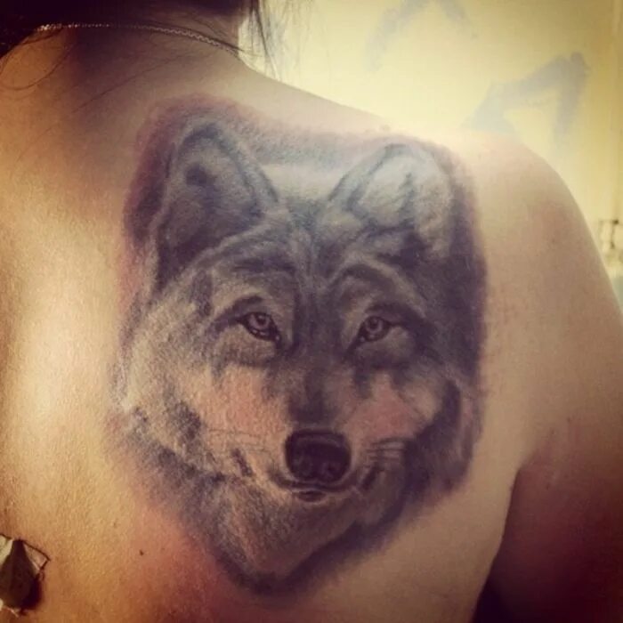 Тату волка на лопатке. Тату волк на лопатке. Тату волк на спине для девушек. Тату волка на лопатке для мужчин. Оскал волка тату на лопатке.