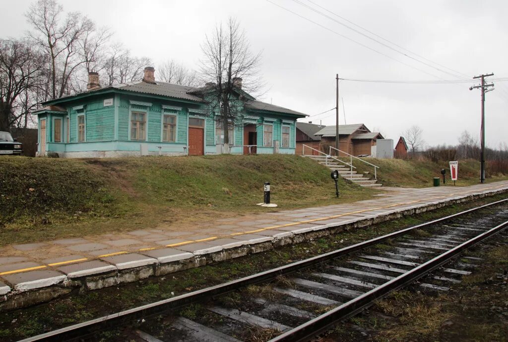 Погода кунья псковская на 10 дней