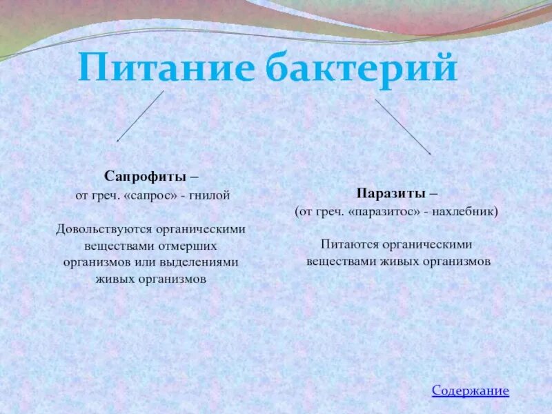 Паразиты питаются органическими веществами живых организмов. Методы борьбы с грибами паразитами. Бактерии сапрофиты паразиты симбионты. Способ питания бактерий сапротрофы. Борьба с грибами паразитами.
