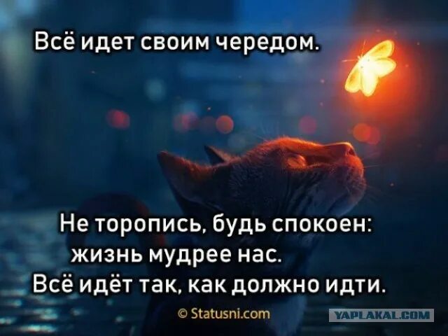 Красивые выражения. Будь мягче к людям хочешь быть мудрей не делай больно мудростью своей. В жизни все идет своим чередом. Не торопись жить цитаты. Будь спокойней будь мудрей.