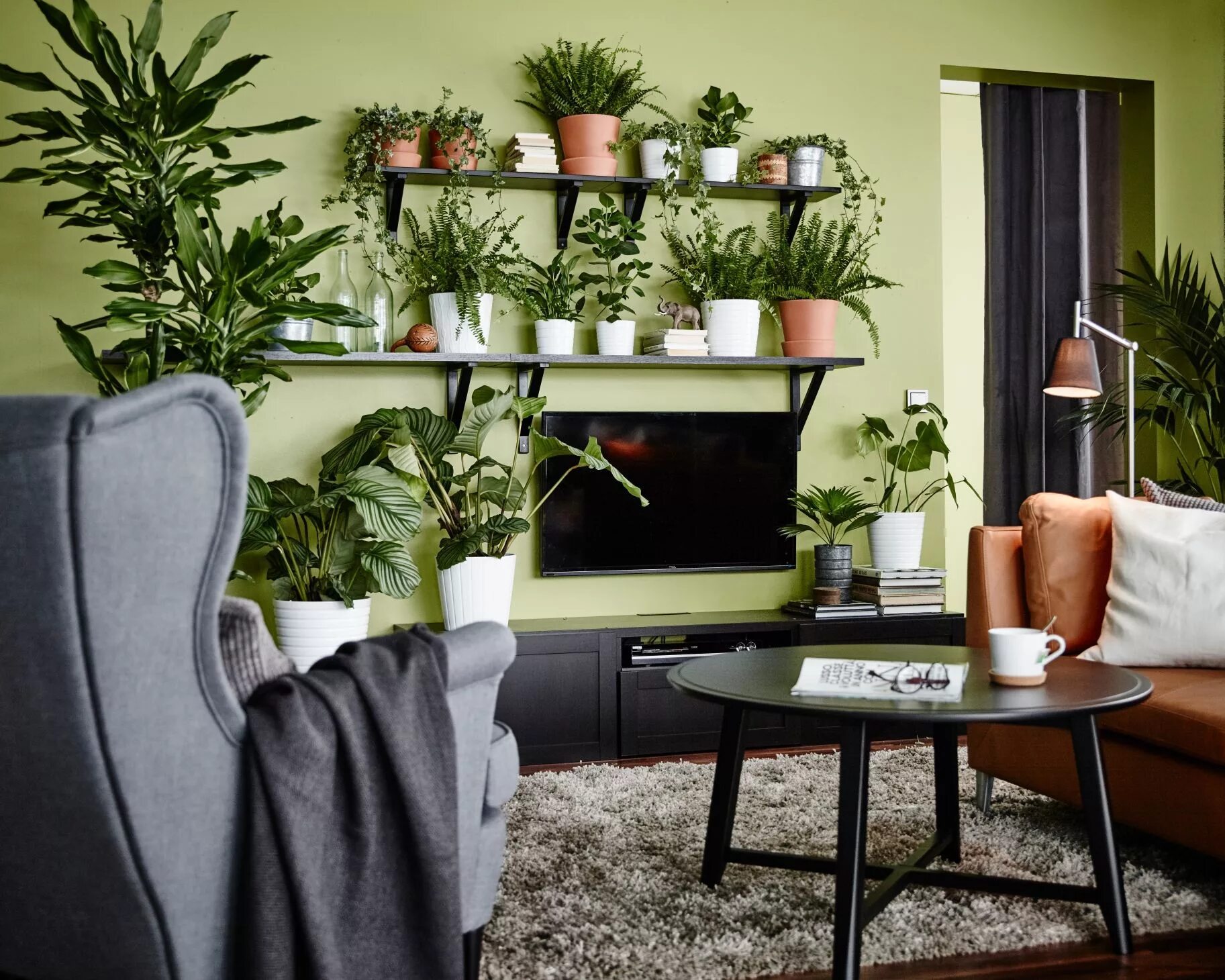 Цветы в интерьере. Комнатные растения в интерьере квартиры. Гостиная с растениями. Зеленый уголок в гостиной. Plants tv