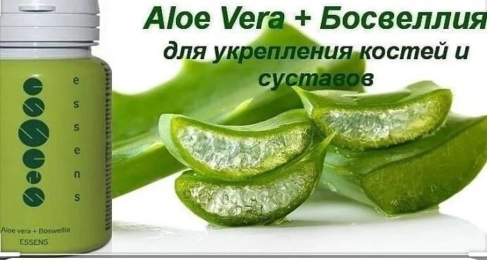 БАД Aloe Vera Босвеллия. БАДЫ Эссенс.