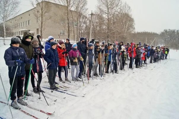 Лыжные уроки в школе. Лыжный спорт в школе. Школьники на лыжах. Урок физкультуры на лыжах. Лыжи в школе.