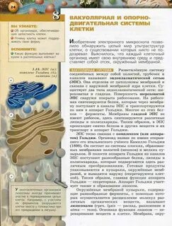 Функции куль