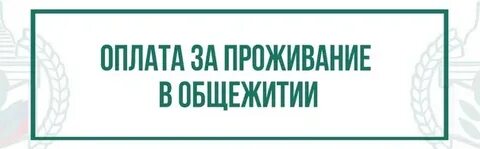 Платить за общагу