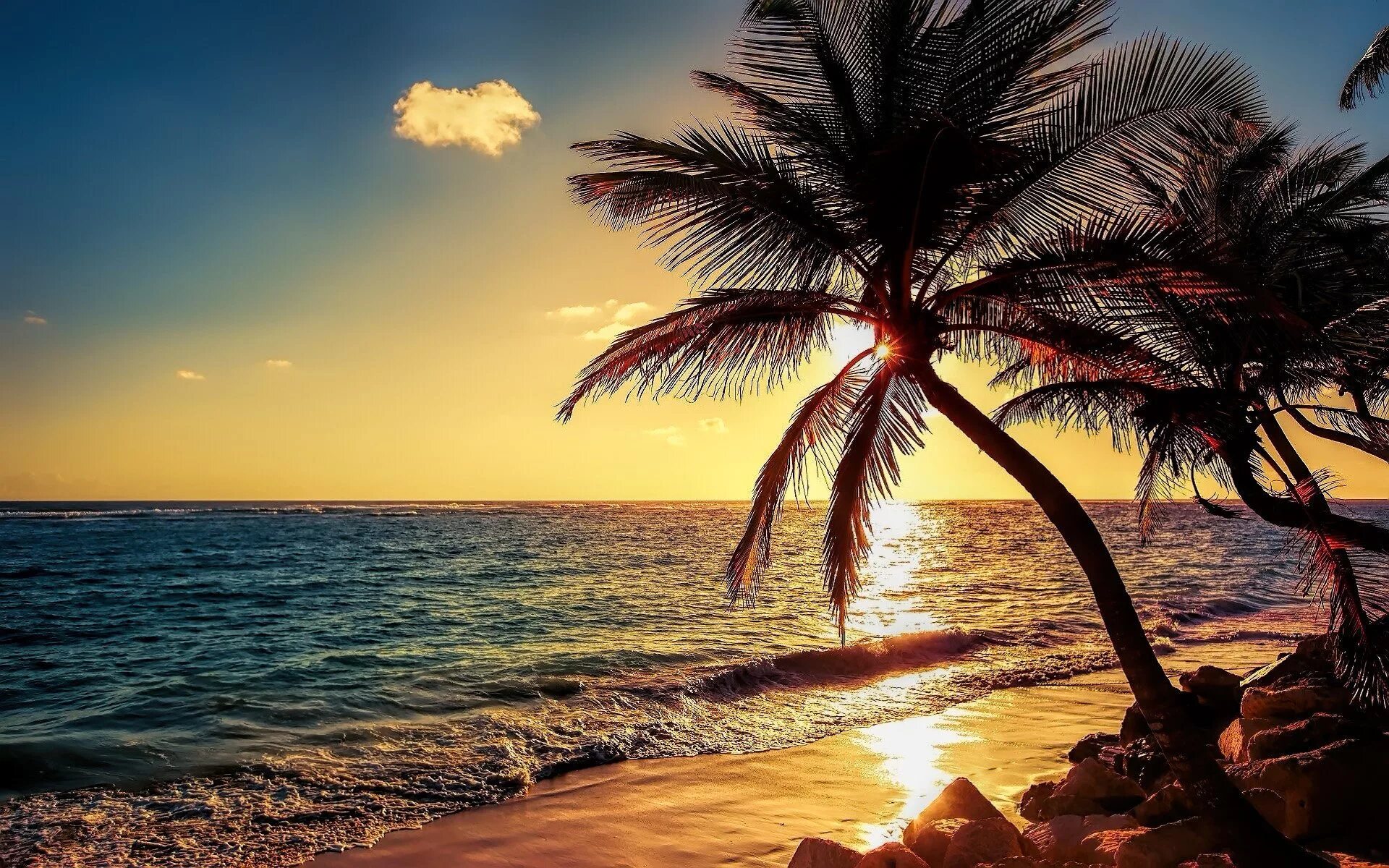 Побережье с пальмами. Море пляж пальмы. Море солнце пальмы. Красивый пляж.