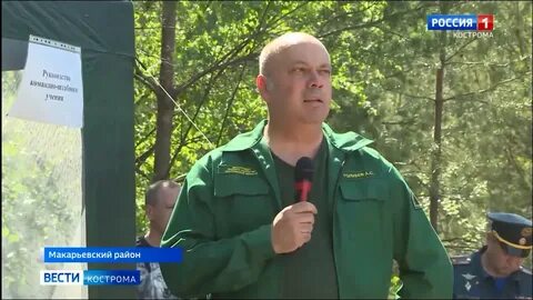 Костромской лесной департамент