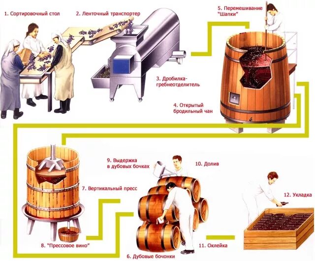 Производство вина технология схема. Технология производства виноградных вин. Технология производства вина технологическая схема. Технологическая схема производства вина из винограда. Производство красного вина