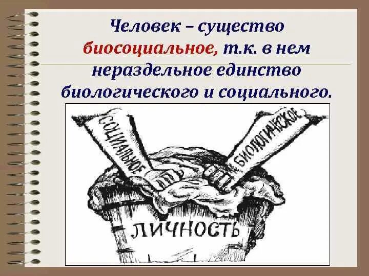 Личность биосоциальное существо. Человек биосоциальное существо. Соотношение биологического и социального. Соотношение биологического и социального в личности. Человек биосоциальное существо схема.