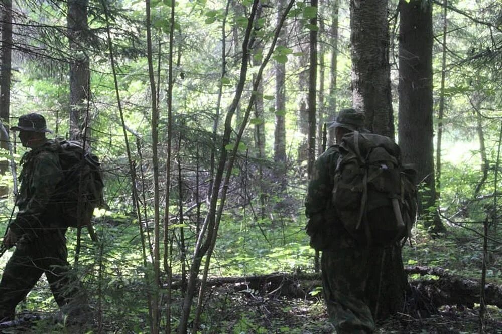 Разведчики в лесу. Тактическое ведение боя в лесу. Бой в лесу. Тактика разведки в лесу.