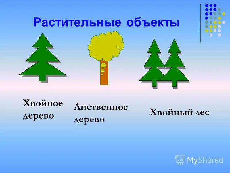 условные знаки плана смешанный лес. как обозначается хвойный лес. топографический знак хвойный лес. хвойный лес на плане местности. смешанный лес обозначение на топографической карте.