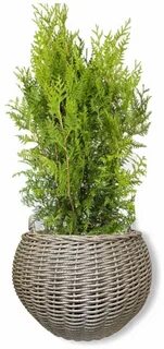 Кашпо из ротанга с ручками