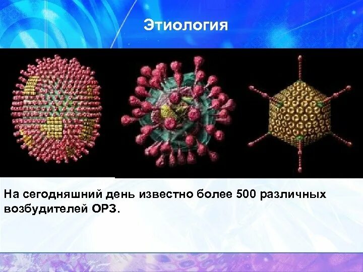 Возбудитель гриппа орви. Строение вируса ОРВИ. Вирусы возбудители ОРЗ. Вирусы - возбудители острых респираторных вирусных заболеваний. ОРВИ этиология.