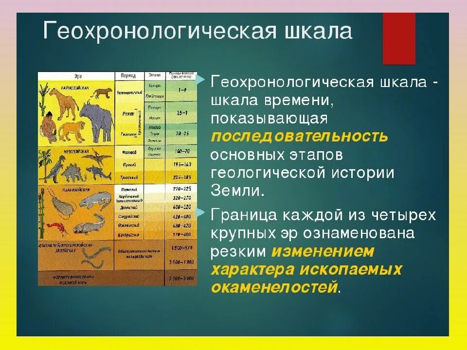 Отрезок времени в истории земли. Геохронологическая таблица развития растительного и животного мира. шкала геологического времени таблица. геохронологическая шкала эволюции. единая международная геохронологическая шкала.