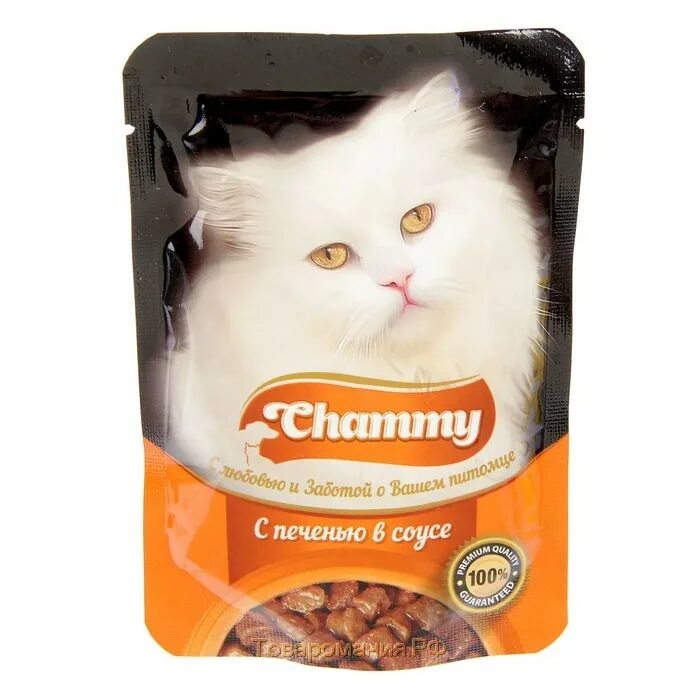 Корм для кошек для печени. Chammy корм для кошек. Влажный корм для кошек Чамми. Корм для кошек с говядиной в соусе 85г пауч. Chammy корм для кошек 100г.