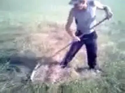 Татарске приколы видео