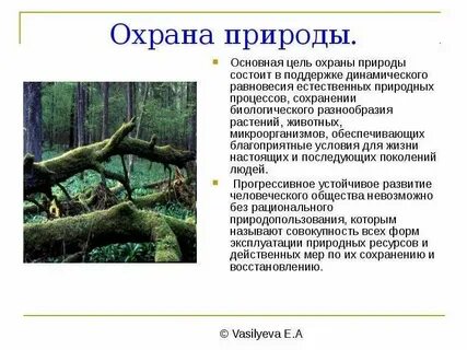 Хищнический предложение