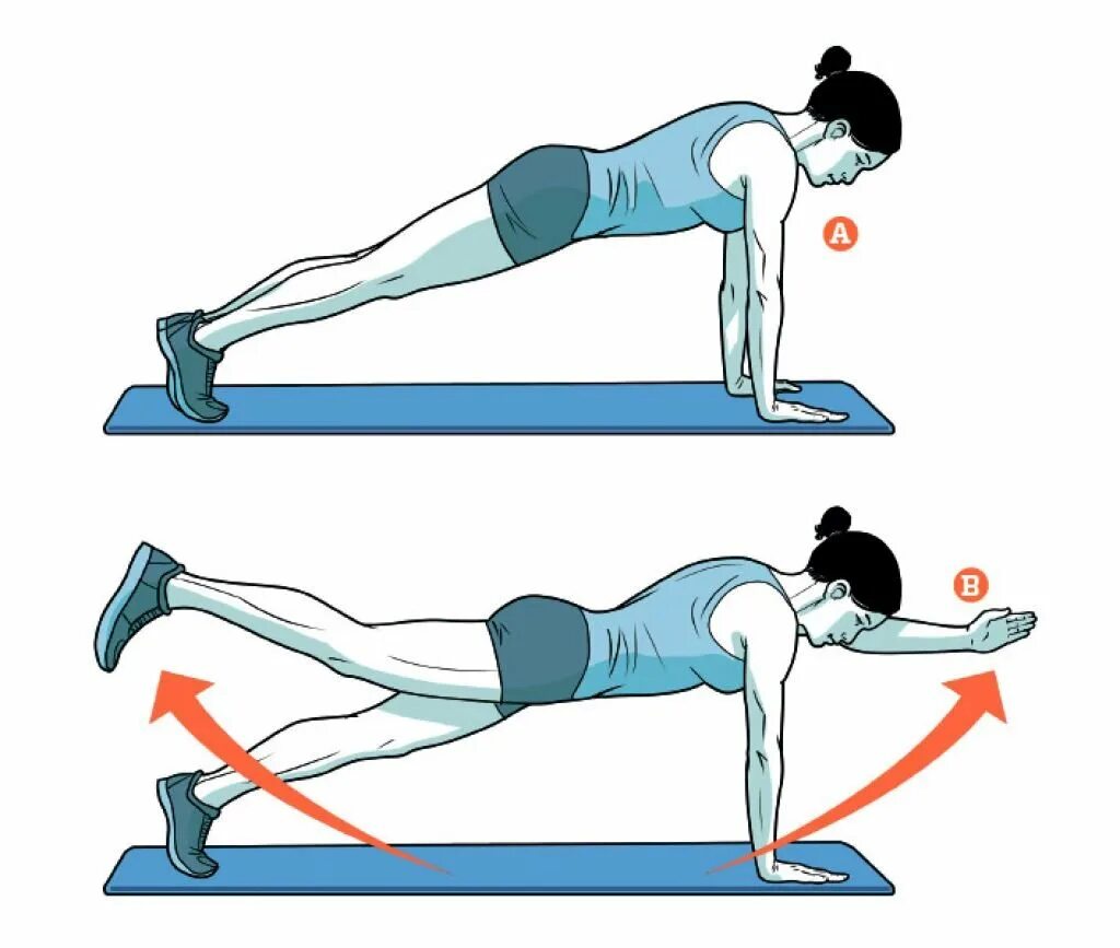Упражнения на нижнюю спину. Planka spini планка для спины. Упражнения на спину. Планка упражнение для спины упражнения. Планка для мышц живота.