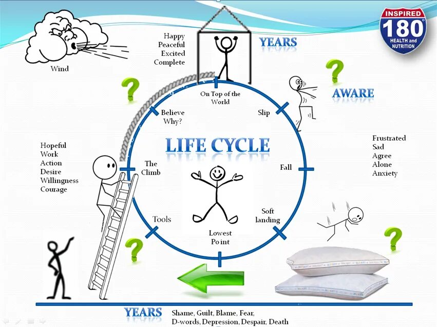 Teach the cycle of life перевод. Life cycles. cycle of 5th. the life cycle of the sesame. source of life.