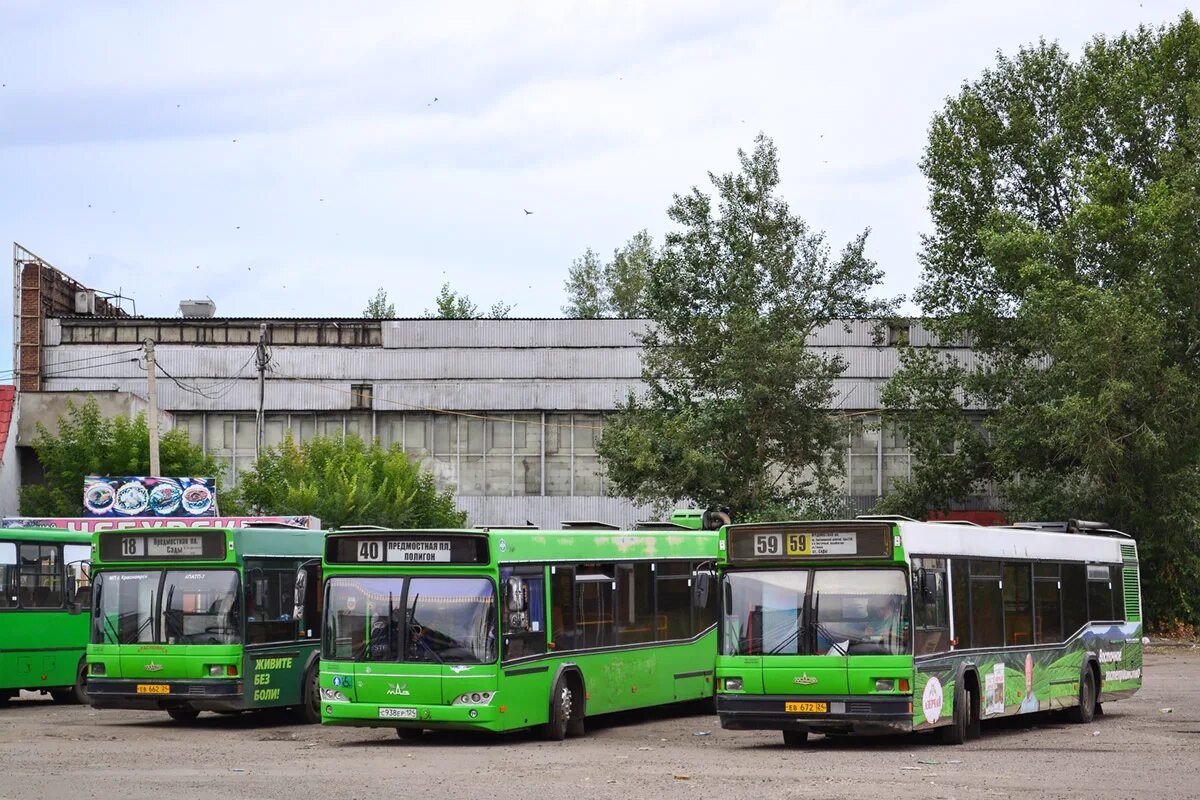 МАЗ 103 С 938 ер. Автобус Красноярск к656ро124. 54 Автобус Красноярск. Автобус 89 Красноярск.