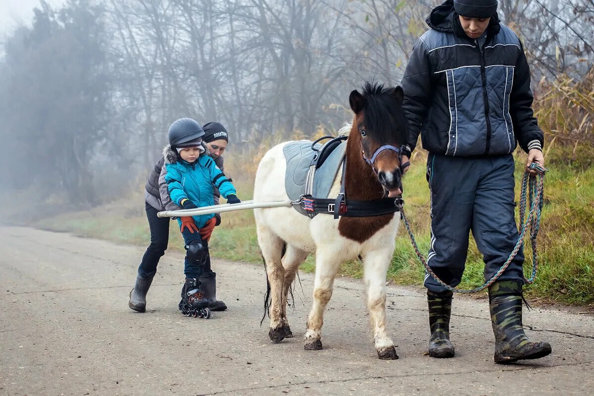 Вожжа попала. Иппотерапия. Иппотерапия на лошади. Лошадь для иппотерапии экстерьер. Инструктор иппотерапии.