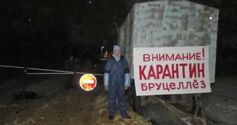 Самара бруцеллез
