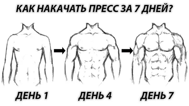 Пресс схема тренировок. Пресс за 10 дней. Пресс упражнения для девушек на месяц. Таблица упражнений на пресс. Как накачать пресс за 10 минут.