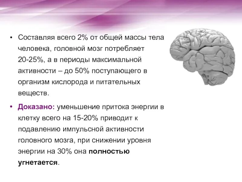 Особенности работы мозга. Деятельность головного мозга. Деятельности человеческого мозга. Активность мозговой деятельности.