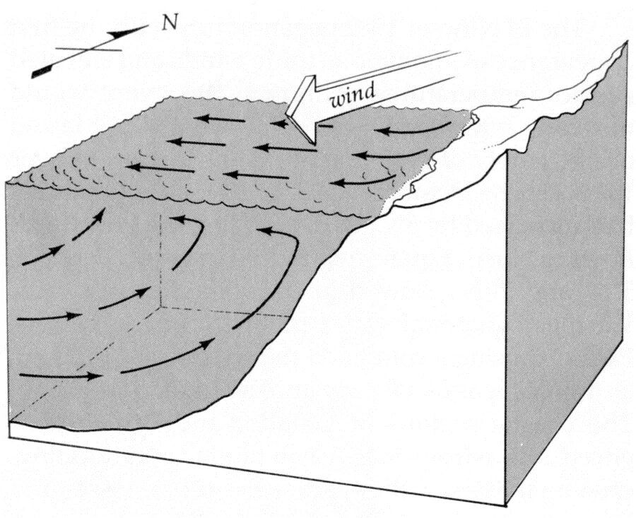 апвеллинг что это такое в черном море