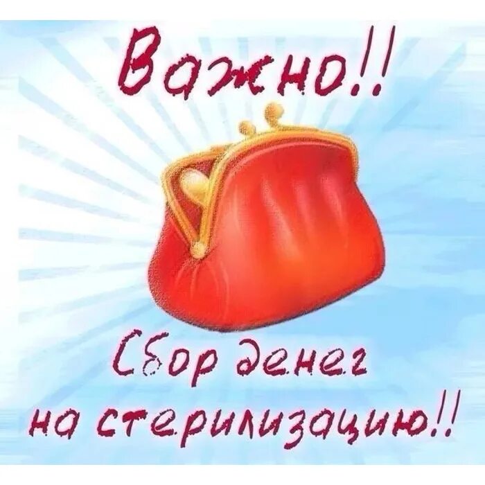 Помощь в стерилизации. Сбор на стерилизацию. Сбор на стерилизацию собак. Сбор на стерилизацию картинка. Срочный сбор на стерилизацию.