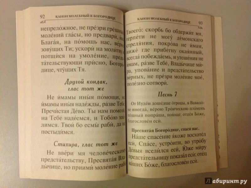 Канон молебный к богородице читать. Канон Богородице молебный. За миллиард лет до конца света братья Стругацкие книга. Канон молебный Богородицы.