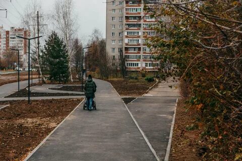 Сокол улицы