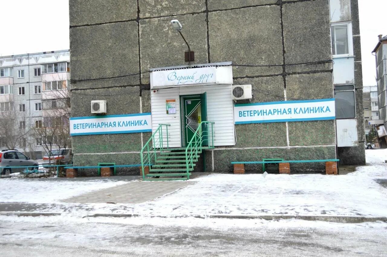 Кинологический биатлон. Приют для животных в южноуральске. Зоомагазин четыре лапы реклама. Верный друг севастополь гостиница для животных. Многопрофильный ветеринарный центр , киров.