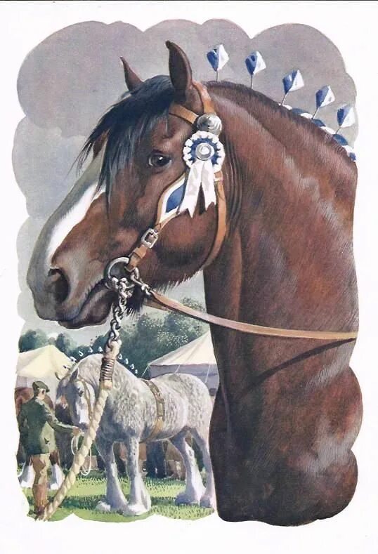 Произведение старая лошадь. Старая лошадь. Введенский лошадка. Постер лошадь. Старая лошадь иллюстрации.