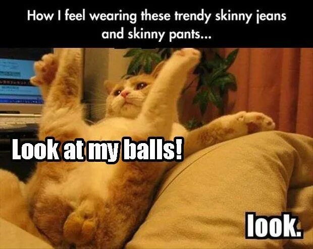 These are my balls. Very much разница. Break my balls. These are my balls. These are my balls.