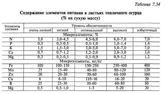 Содержание элементов питания. Химический состав листьев. содержание химических элементов в растениях. лист березы химический состав. содержание минеральных элементов в растениях.