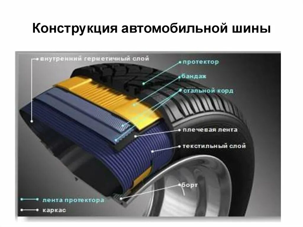 Строение шины. Шина в разрезе. Корд шины. Автомобильная покрышка в разрезе. Резина в разрезе.