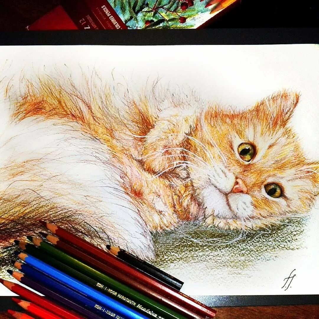 Котенок цветными карандашами. Кошка цветными карандашами. Котик цветными карандашами. Карандаши цветные. Кот рисунок цветной