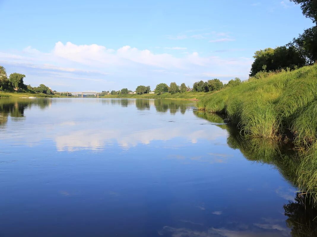 Река западная двина. Река Даугава Западная Двина. Река Западная Двина Беларусь. Западная Двина Полоцк. Западная Двина река Тверь.