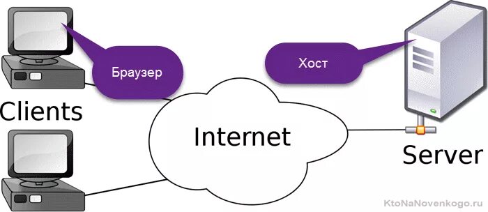 Host подключение. Хост. Хост клиент. Хост это в информатике. Хест.