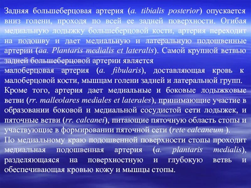 Скак скоч правило. Правописание скак скоч. Корни скак скоч правило. Скак скоч скак скоч правило. Слова в корне скак