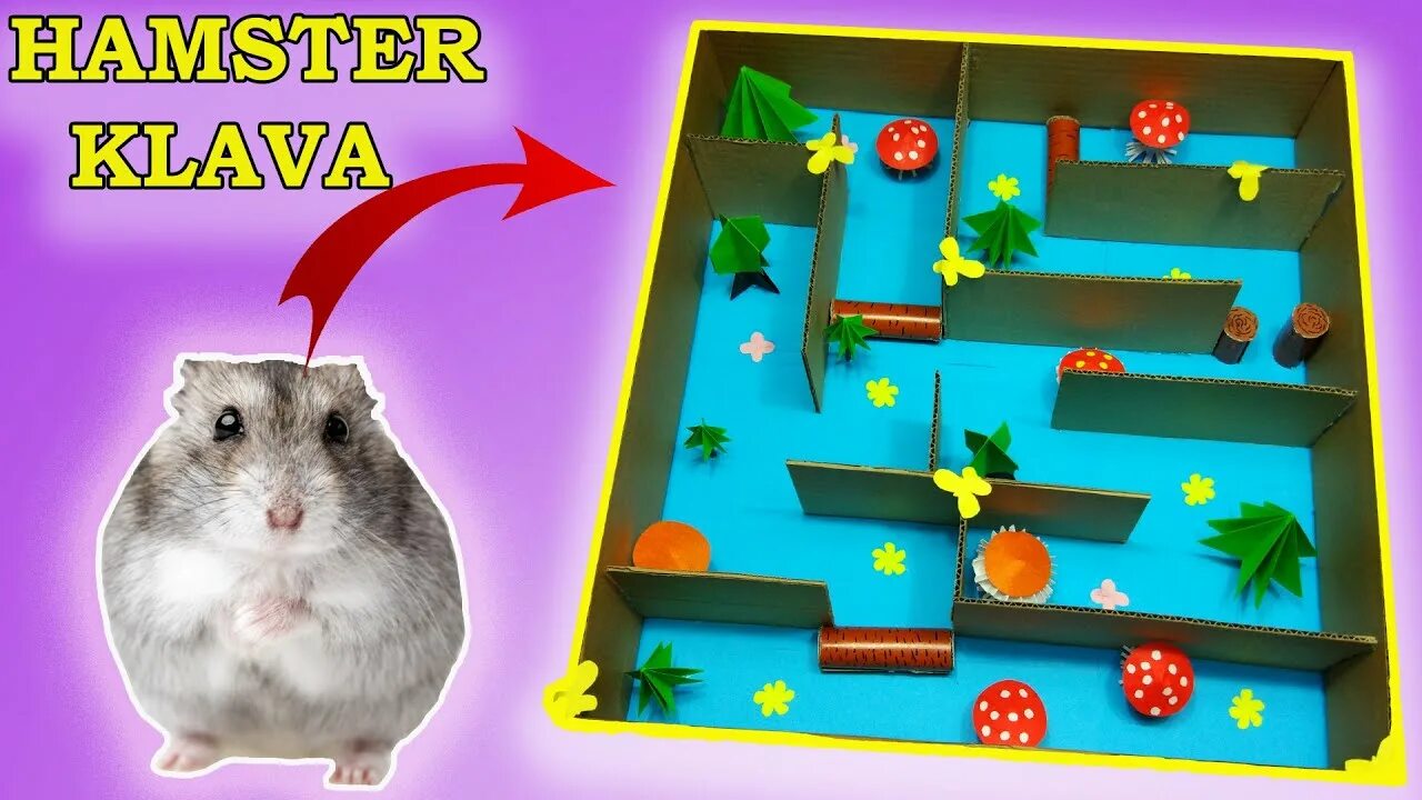 Как выиграть игру в хомяке