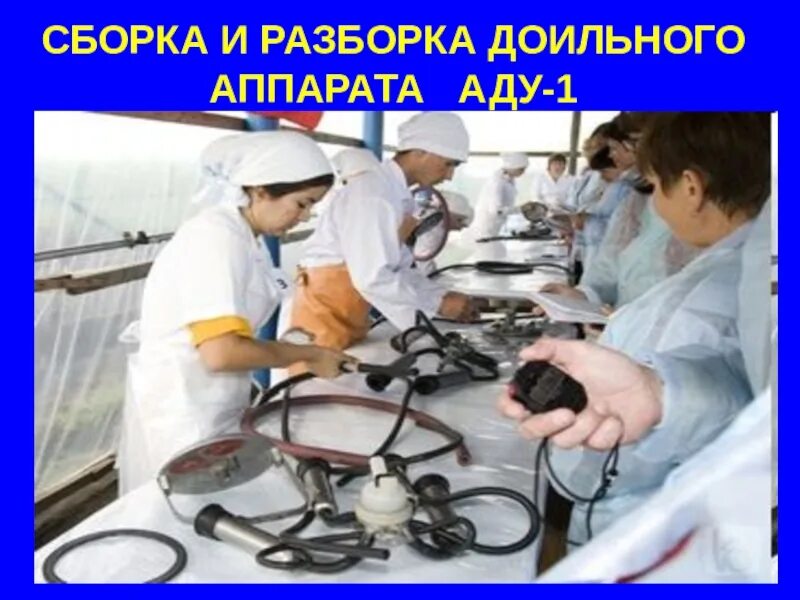 Сборка разборка доильного аппарата аду-1. Сборка доильного аппарата аду 1. Сборка доильного аппарата. Порядок сборки и разборки доильного аппарата. Сборка разборка аппаратов