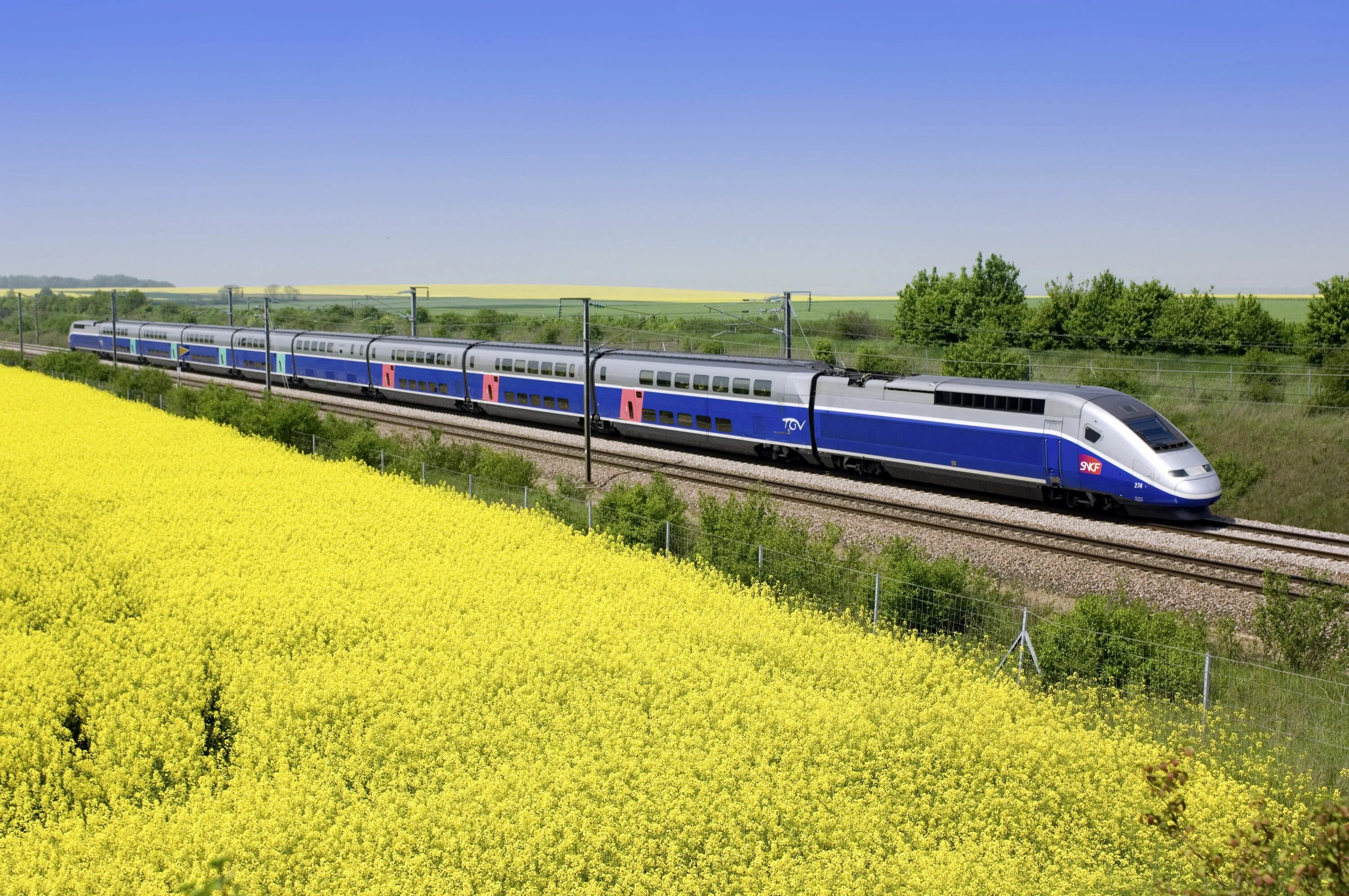 Скоростной поезд TGV Франция. Французский поезд TGV. Поезд TGV Франция. ТГВ поезда Франция. French train