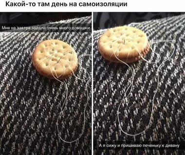 Алиса перестань
