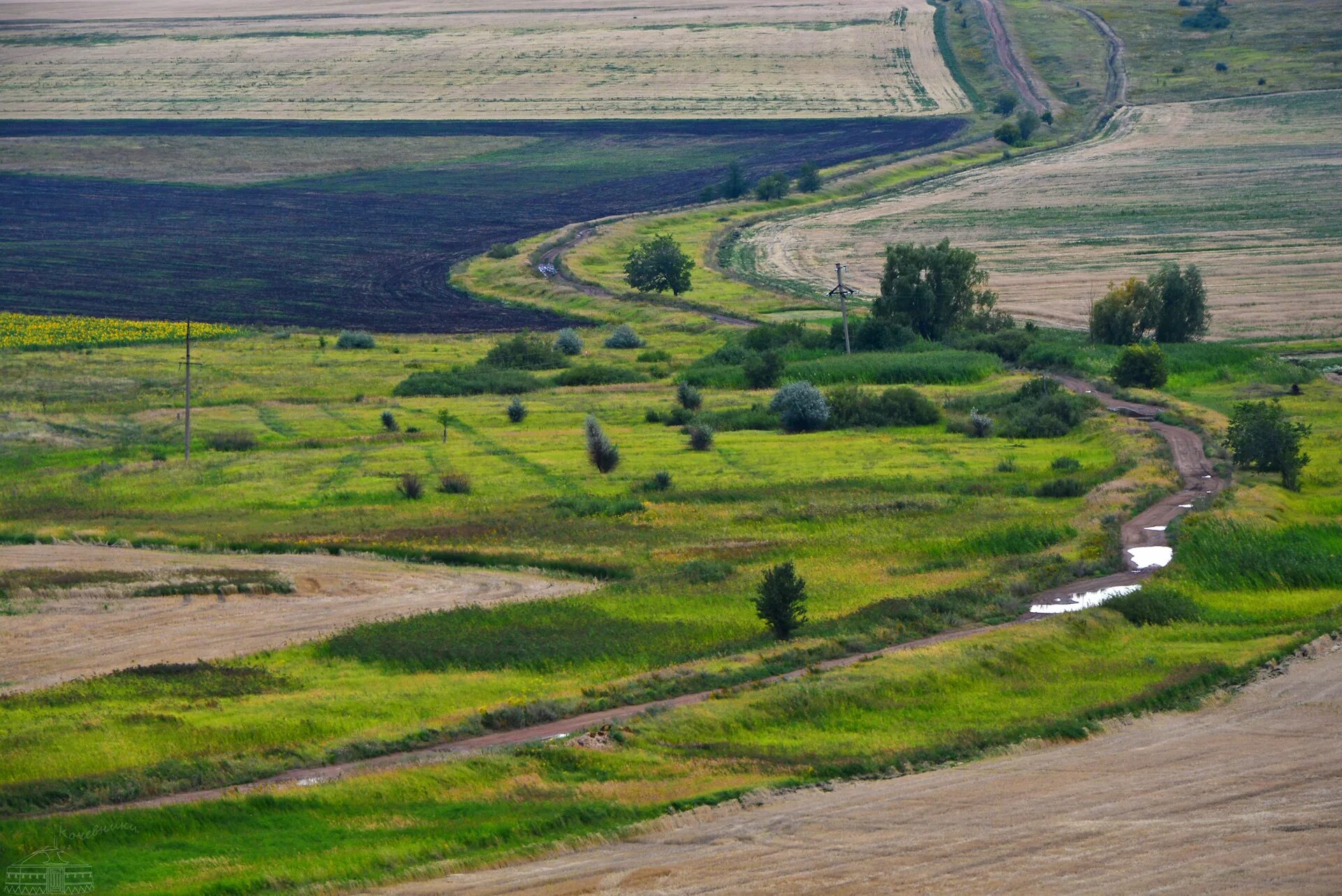 Поволжская природа. Ландшафт Поволжья. Степи Поволжья. Ландшафт национального Хвалынского парка. Равнинный рельеф Поволжья.