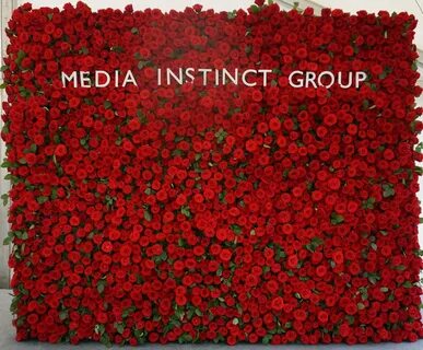 Media instinct
