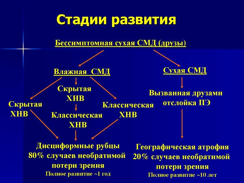 Высшая стадия развития