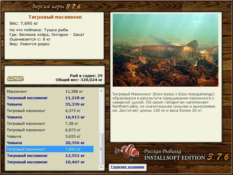 Русская рыбалка игра installsoft. Русская рыбалка 3 7 6 Великие озера американский угорь. Сколько можно поймать ГОЛЕМОВ Маскинонгов.